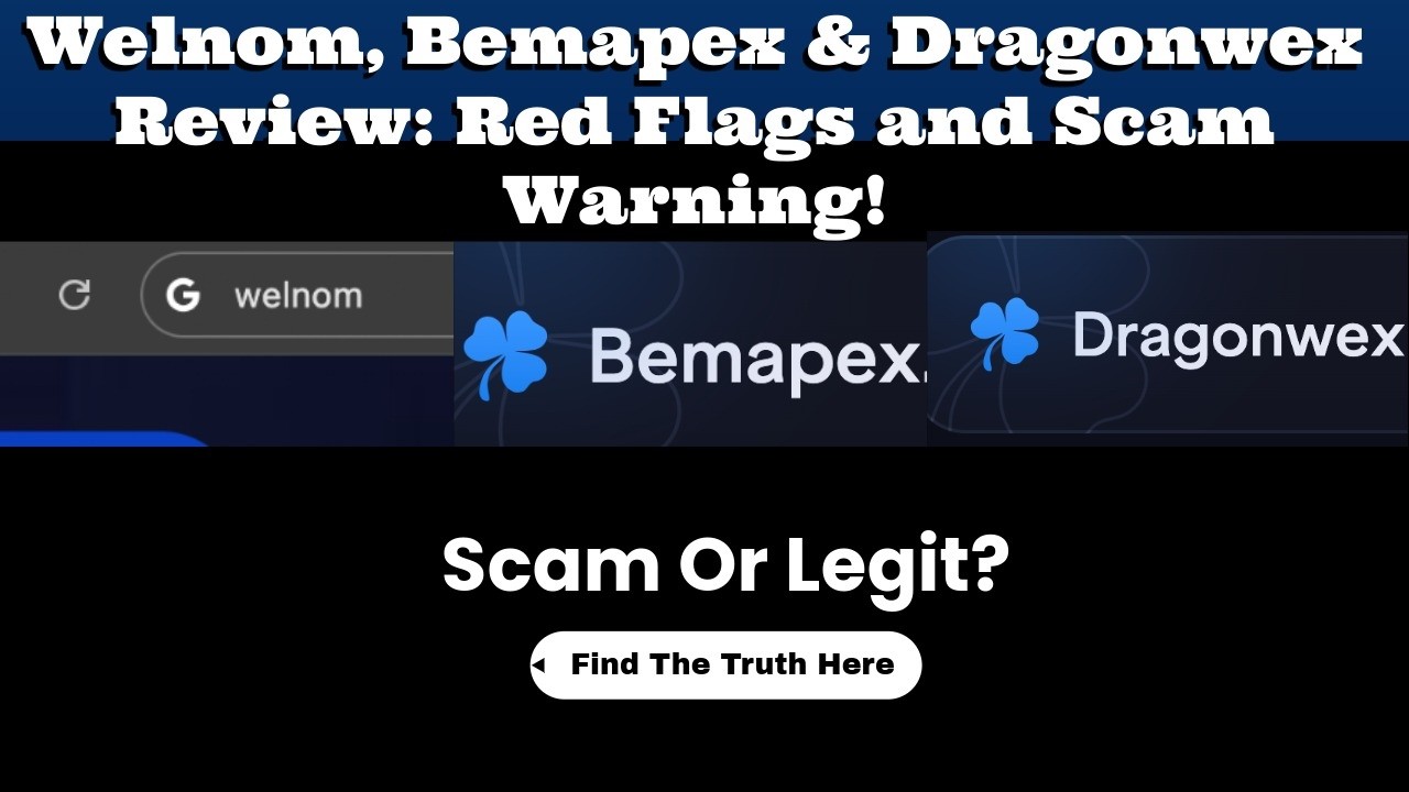 Welnom, Bemapex & Dragonwex Review: Scam or Legit?