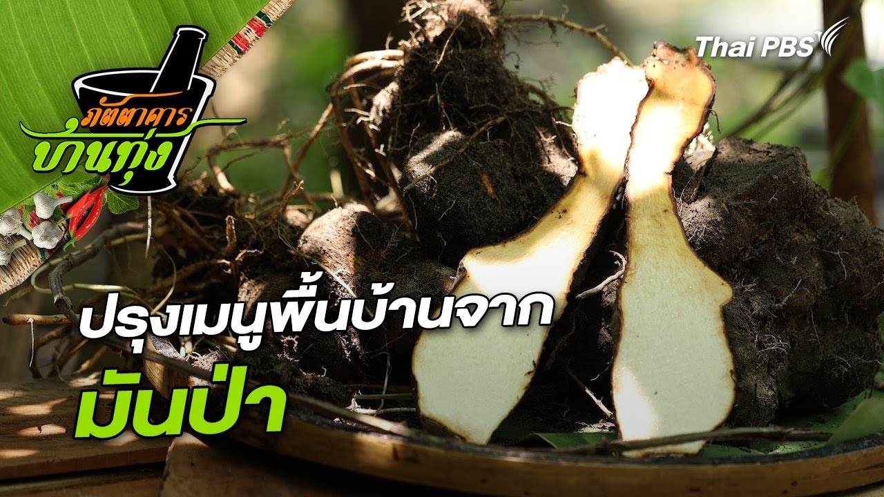 มันป่า |  ภัตตาคารบ้านทุ่ง