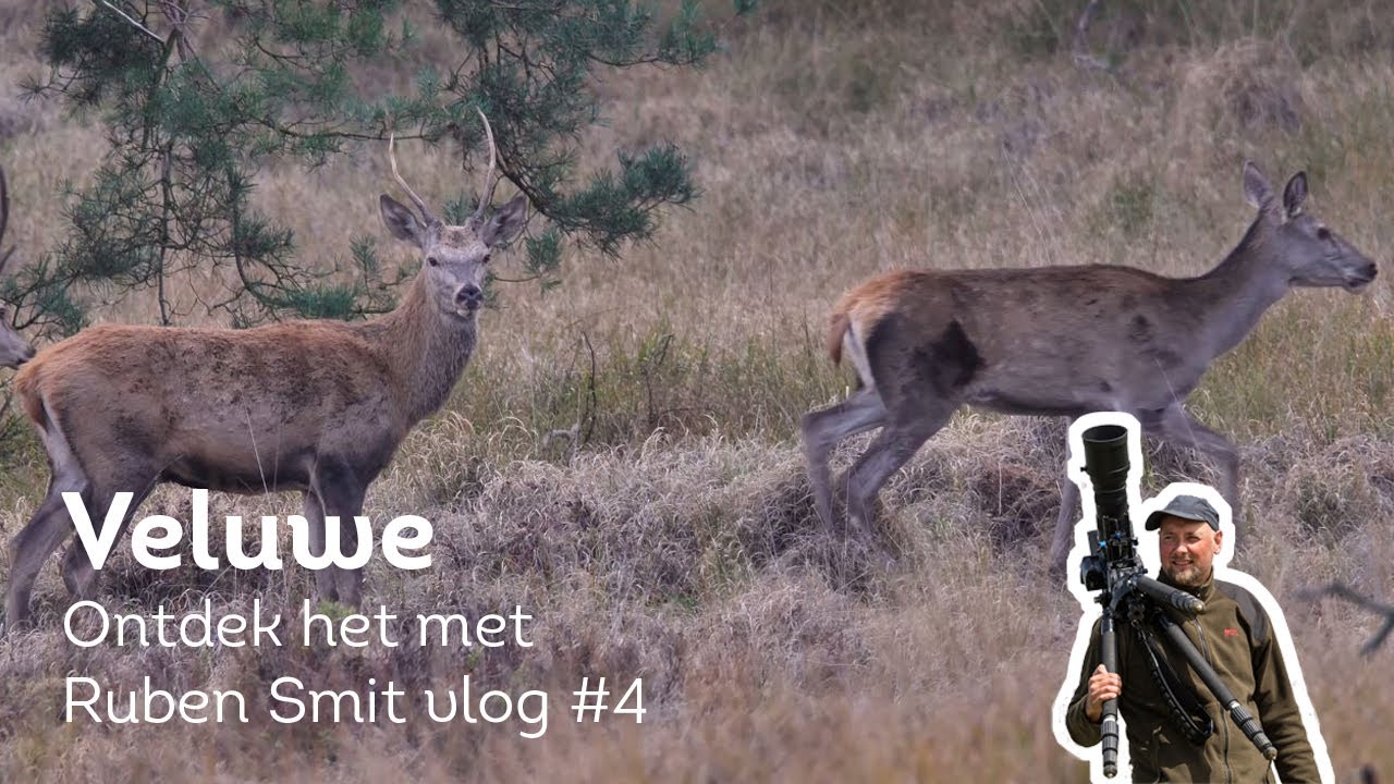 Wat te doen op de Veluwe? Ontdek het met Ruben Smit #4 | Landal GreenParks