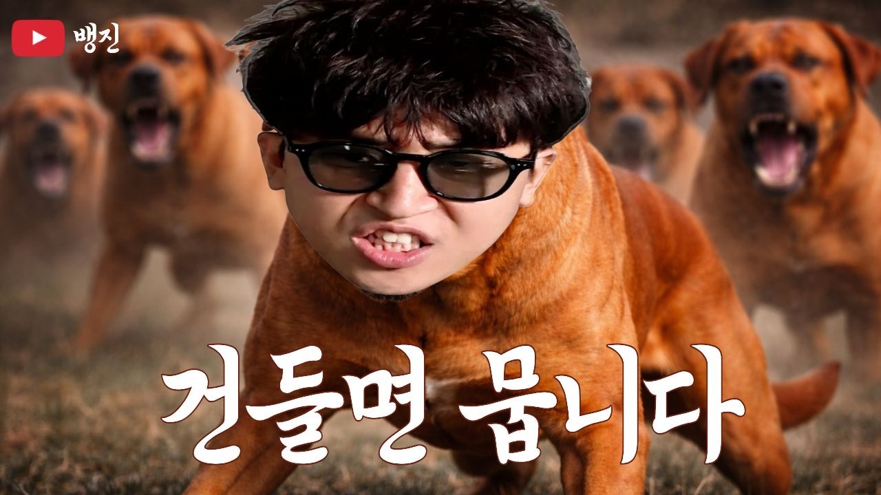 똥개는 이번주 하얗게 불태웠고 더 태우겠슴다