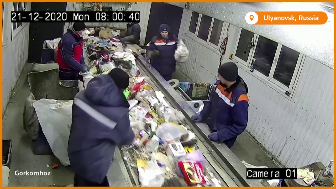 Cat saved from garbage plant in Russia
