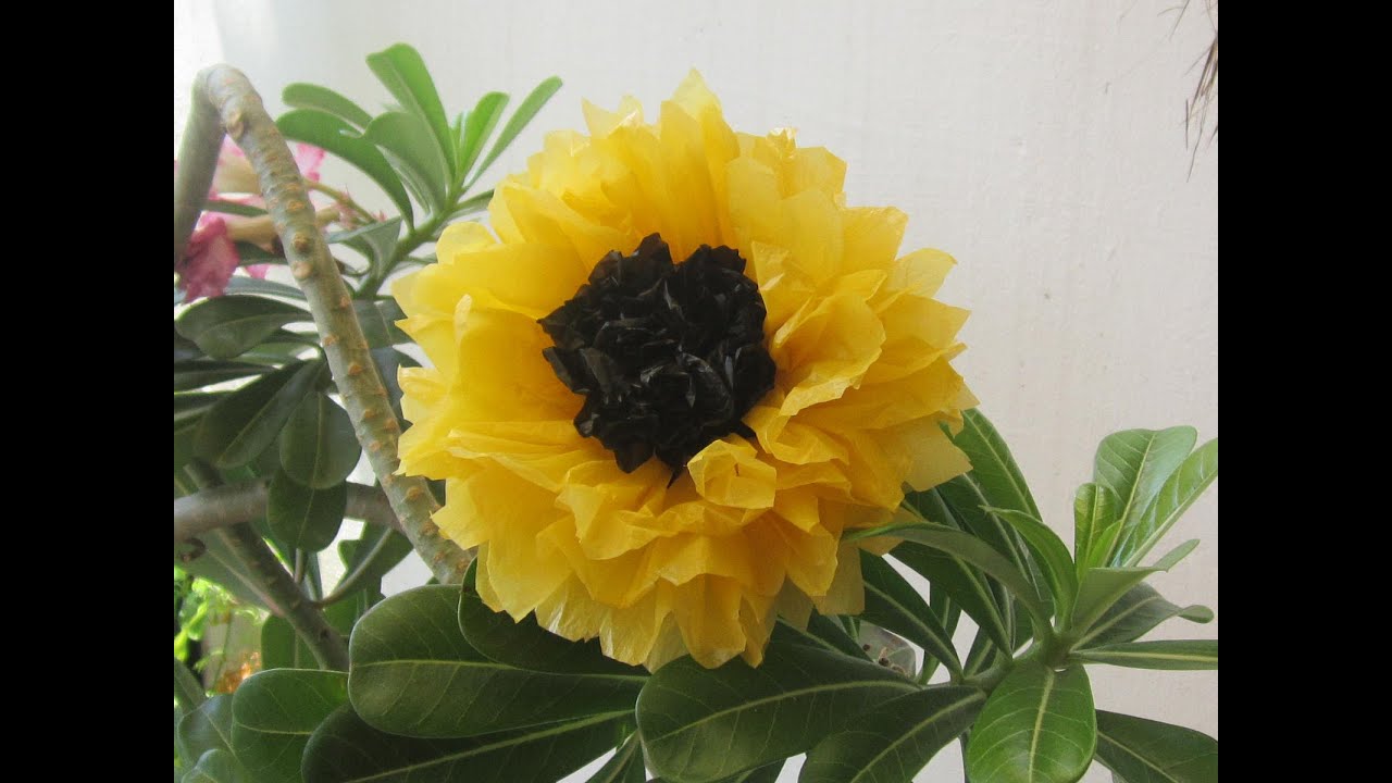 recycle plastic bags- sunflower
