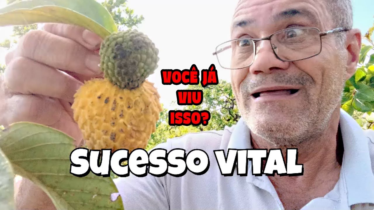 Sucesso Vital no Cerrado: Acompanhe as plantas, Flores e Frutos de Verão