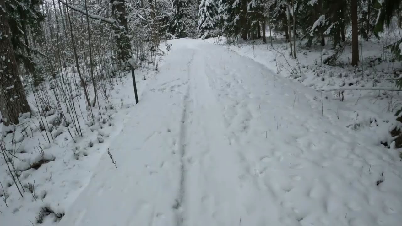 Karhonsaari  Kuopio Talvella @kuhankerkiin