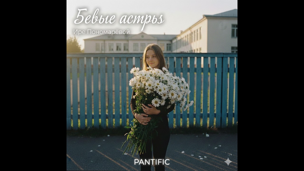 PANTIFIC - Белые астры