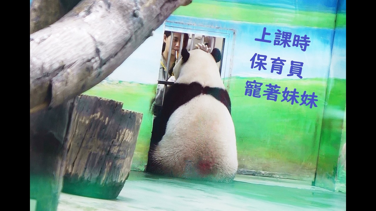 每次上課時保育員都會寵著妹妹喔20260221