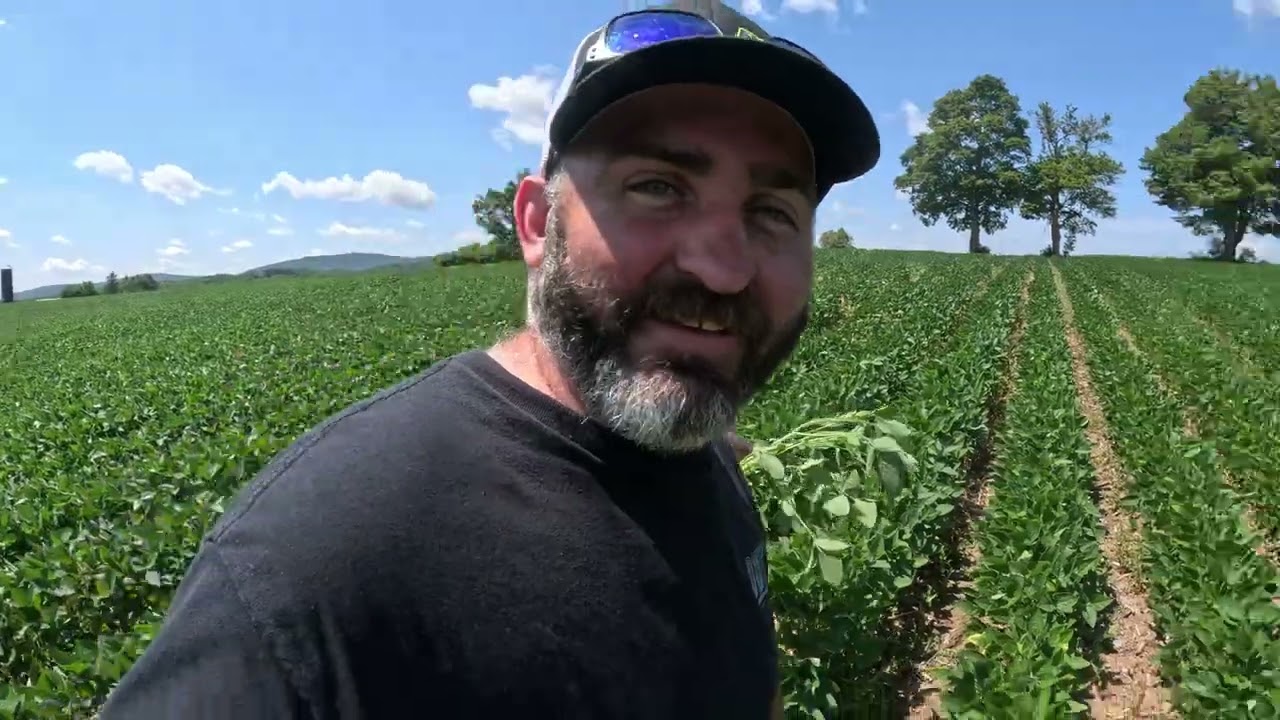 Crop Scouting With Aimee