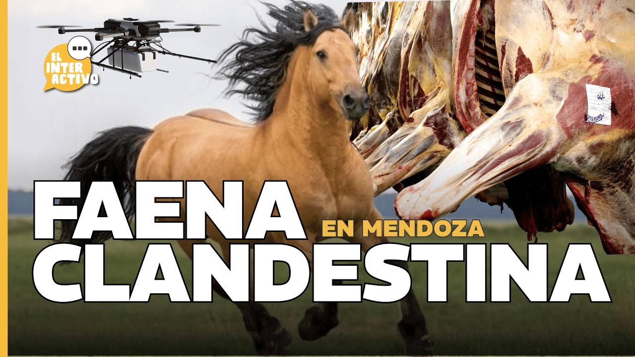 Faena clandestina en Mendoza: Secuestran 1.800 kg de carne de caballo