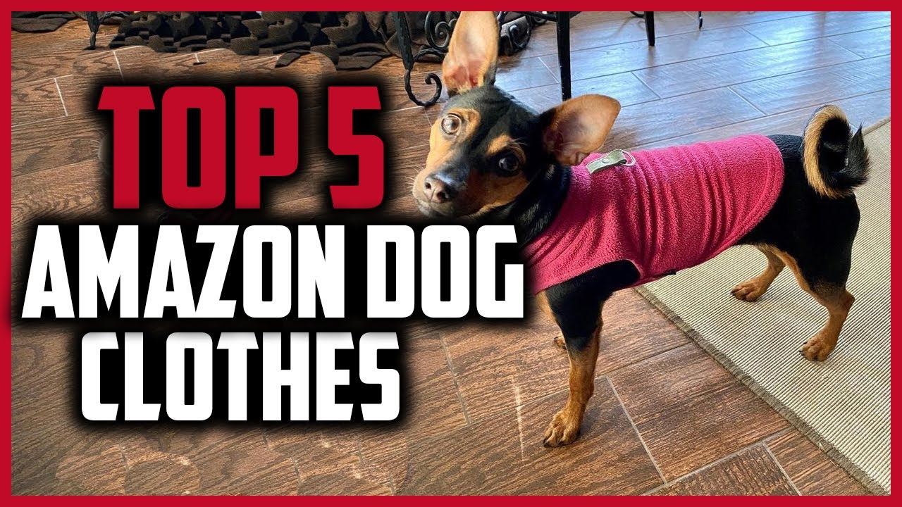 ✅Top 5 Best Amazon Dog Clothes in 2026