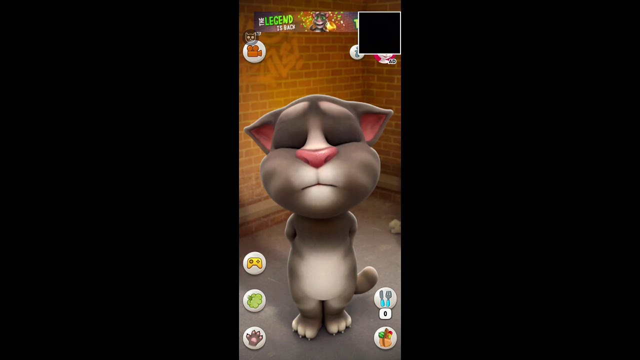 talking tom game