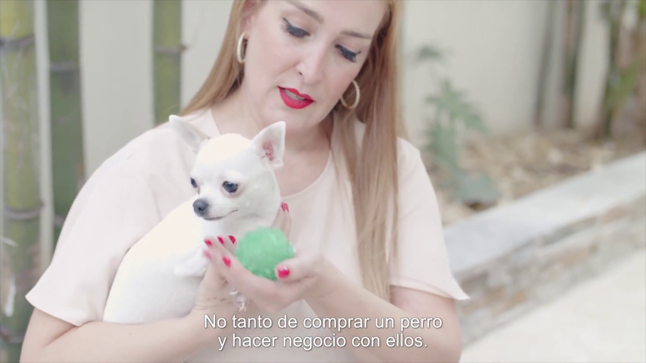 LAMOSA | Donde la vida de mi mascota sucede con Bely Treviño