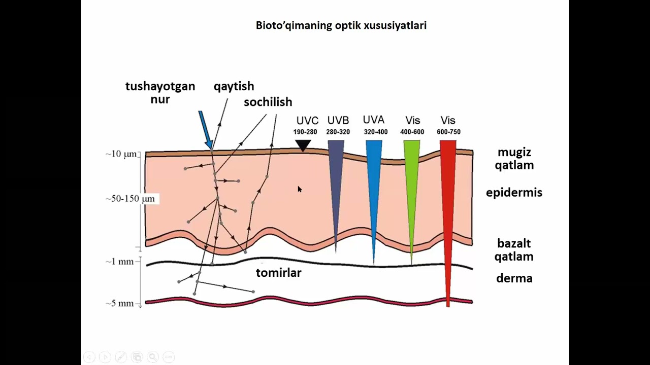 G'.Eshonqulov - Biologik to'qimalarning optik va issiqlik fizikasi xususiyatlari