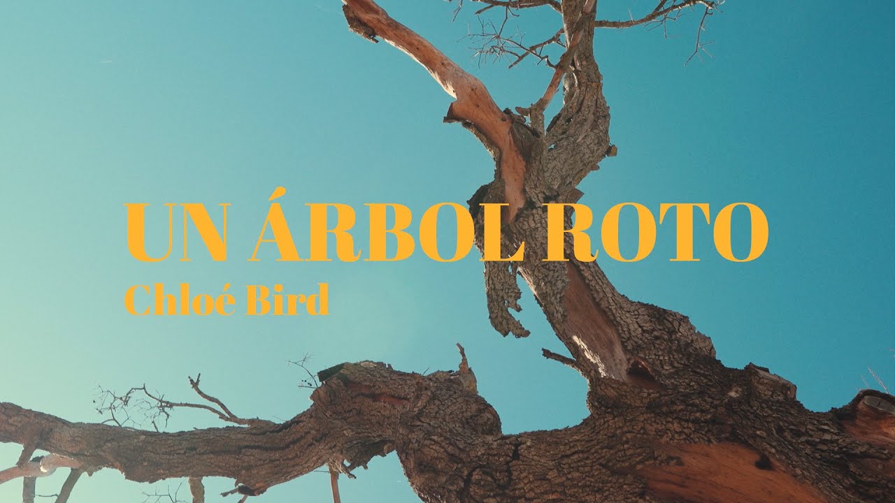 Chloé Bird - Un árbol roto