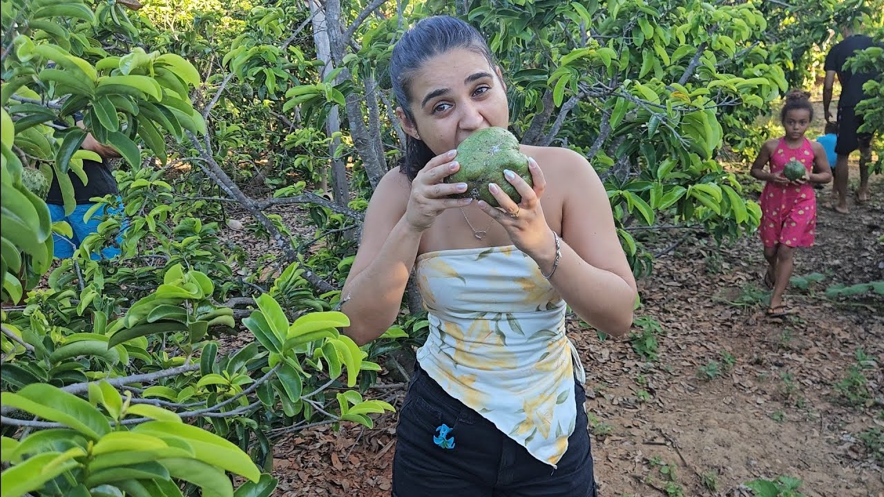 Visitando a fazenda da tia Nana | Roça em Araçuaí MG