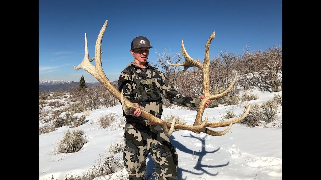 AMAZING DAY OF ELK SHED HUNTING - UTAH - CROWN BULL - March 27 2018