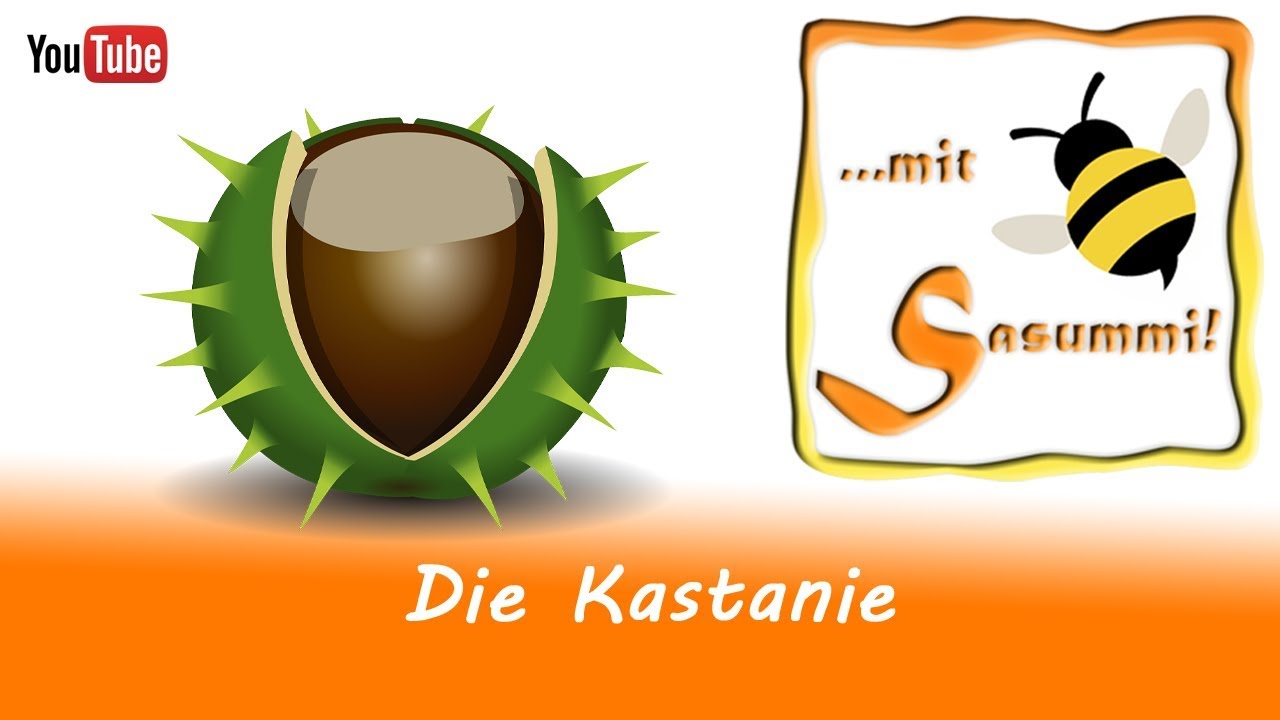 Fingerspiele/ Singen mit Sasummi - Die Kastanie