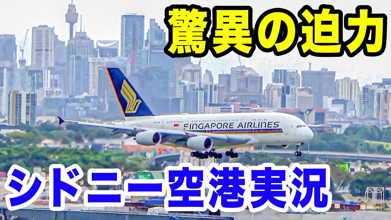 【圧巻】まるで空撮！？シドニー国際空港で超大型機の離着陸を上から実況！A380がなんと目の前に！※2024/8よりこちらは撮影禁止になりました。[シドニー遠征#8]
