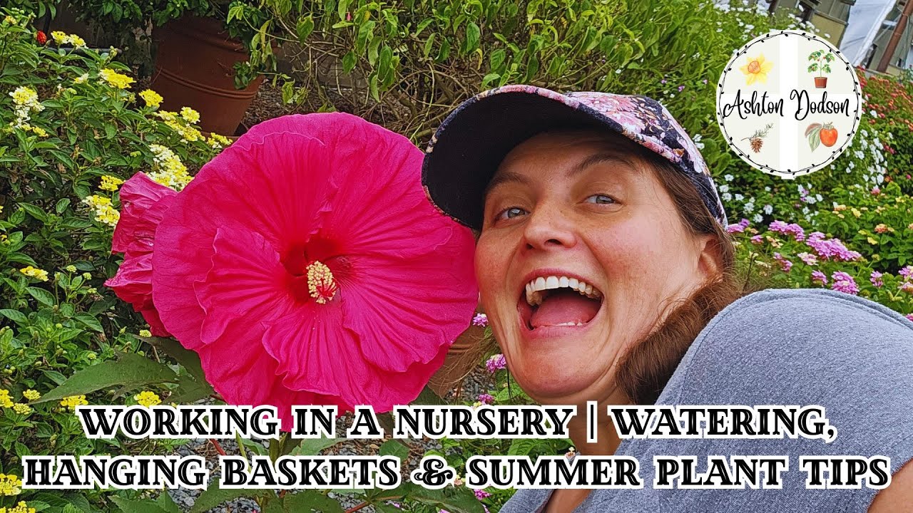 Late Summer Greenhouse Life 🌞 | Watering, Deadheading & Hibiscus Love