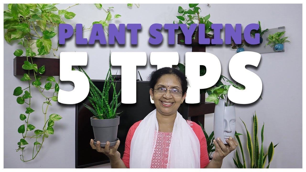 Indoor Plant Styling | Plant Decor