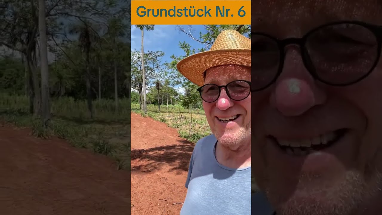 Grundstück Nr  6 mit 2.591 qm