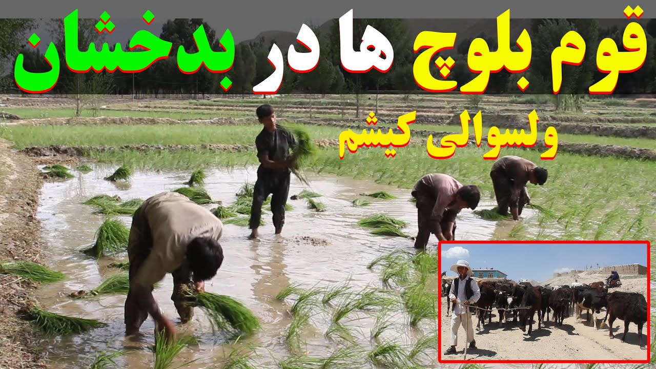 سفر به ولسوالی کشم بدخشان؛ قوم بلوچ ها