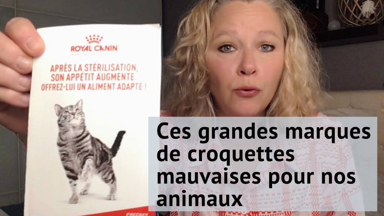 CHAT#CHIEN Ces grandes marques de croquettes mauvaises pour la santé de nos animaux