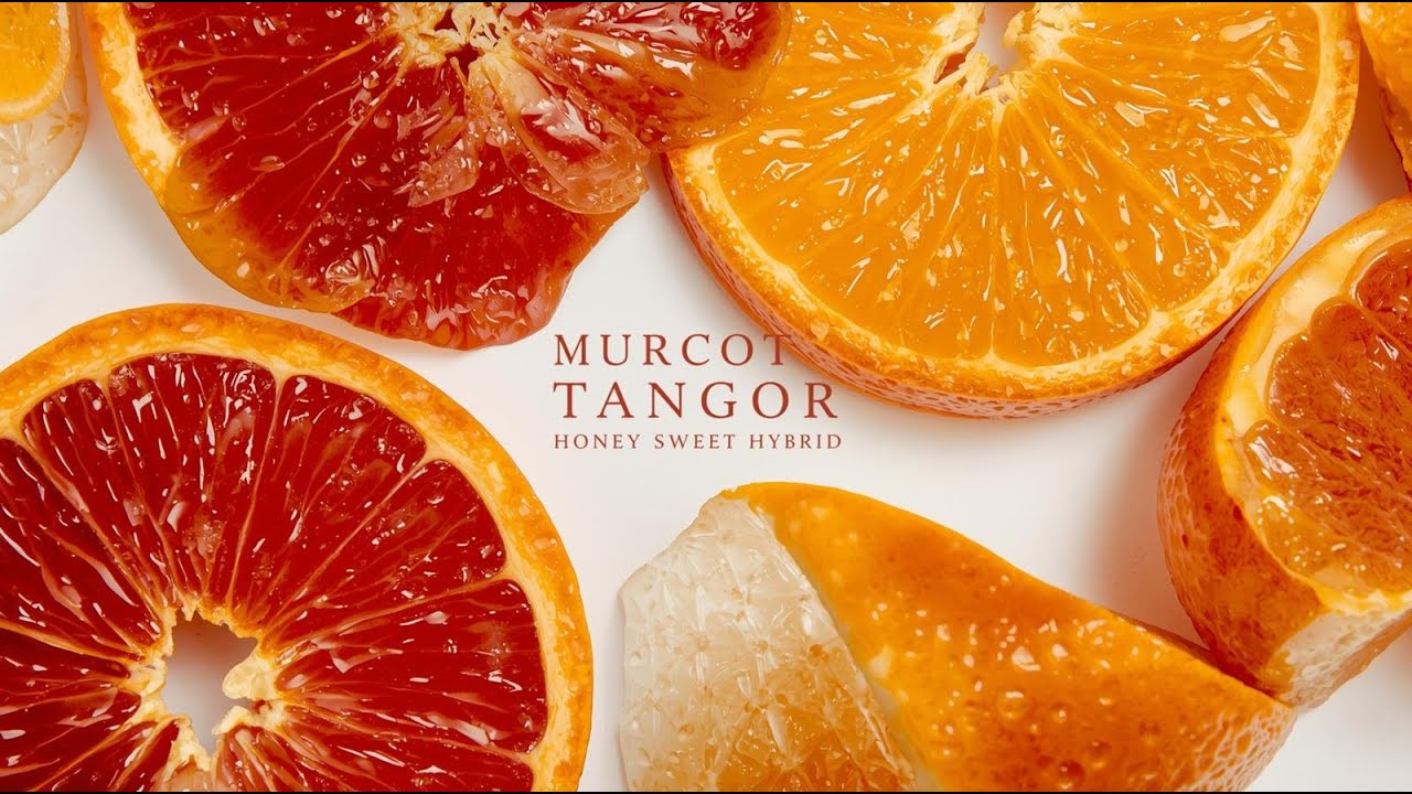 Tangor Murcott  &ndash; The Sweet Hybrid Citrus Behind &ldquo;Honey Tangerine&rdquo;