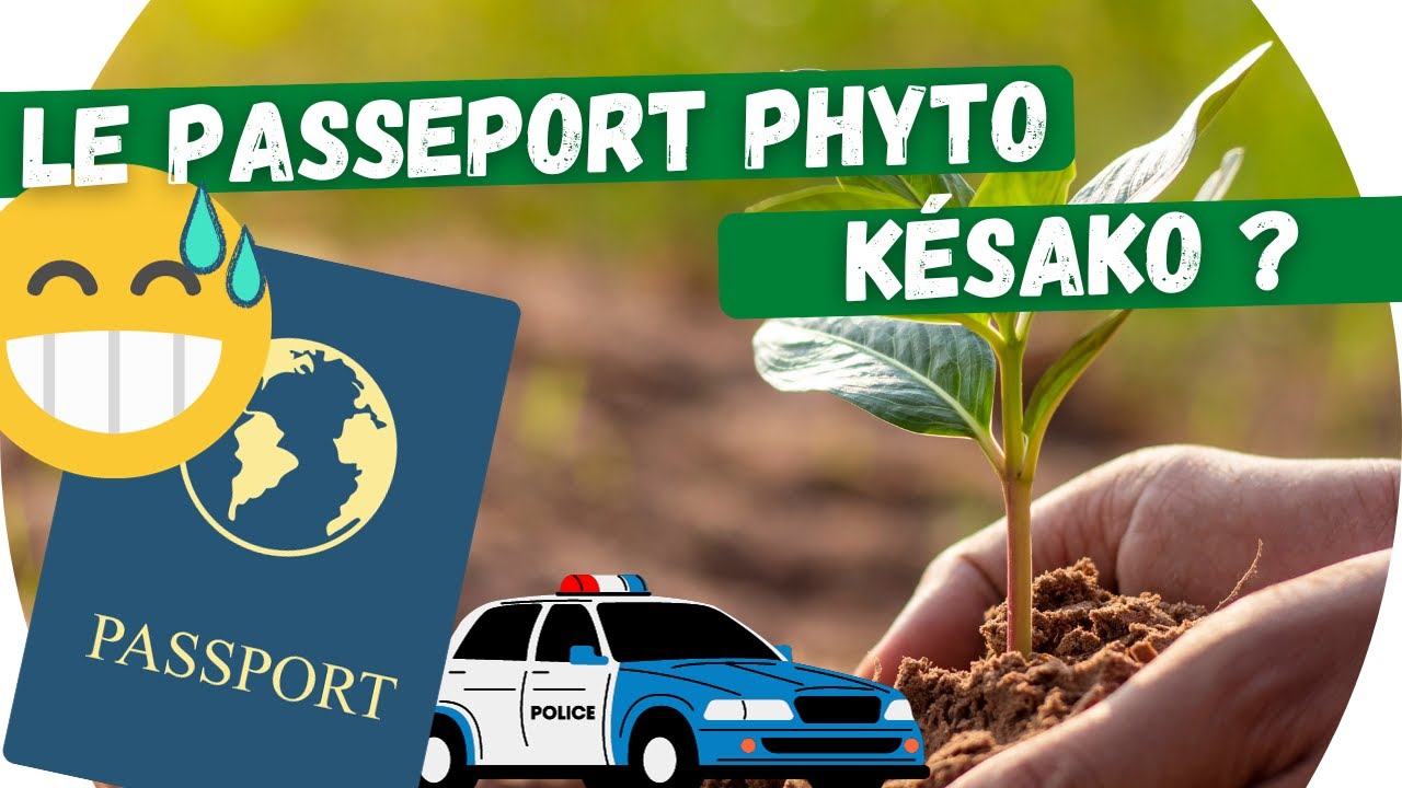 👮🎋Le passeport phytosanitaire européen : une règlementation touchant la plupart des pépiniéristes
