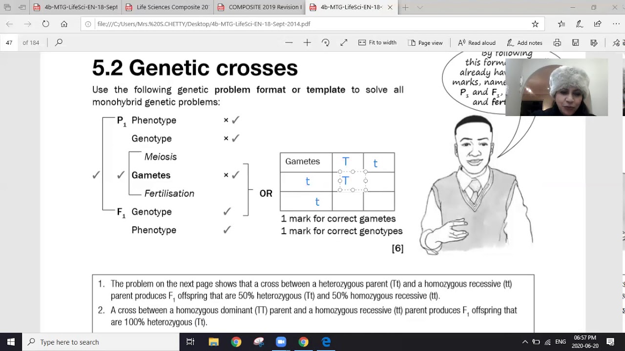 Genetics Complete Dominance Grade 12