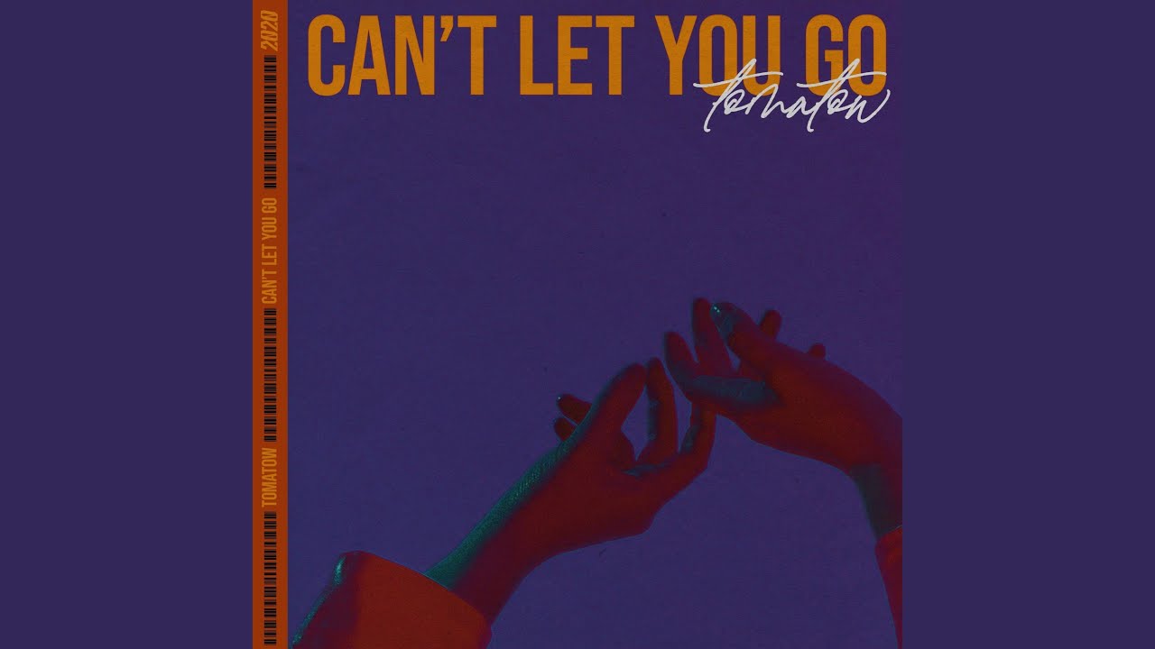 Can't Let You Go