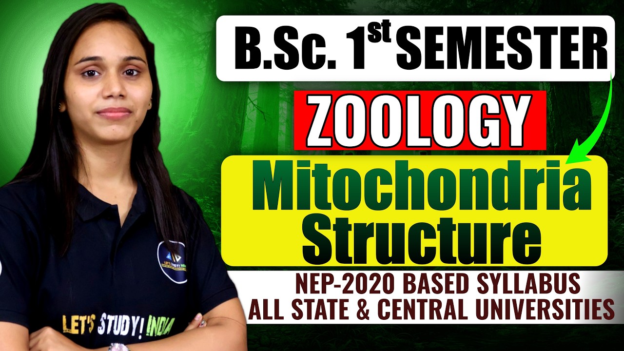 Mitochondria Structure | B.Sc. Zoology 1st Semester | Nayanima Ma'am |
