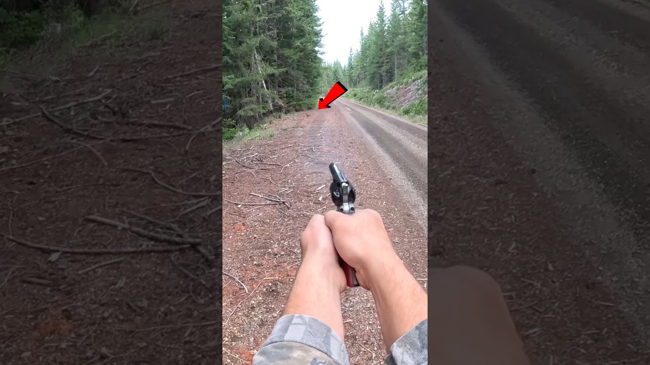 Охота на рябчика с револьвером 22LR!!! #приключение #охота #охота #длятебя #наприроде #братан #ин...
