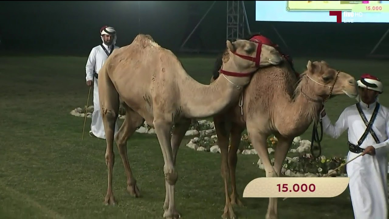 المزاد الخيري الرابع لإنتاج أم الزبار 23-12-2017