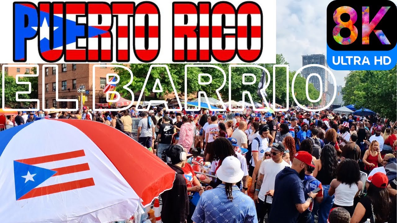 What Happens When a Whole City Parties Together?🇵🇷🇵🇷🇵🇷🇵🇷🇵🇷🇵🇷