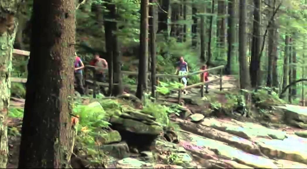 Harrachov