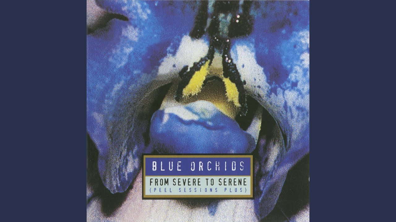 No Looking Back (1982 Session Version)
