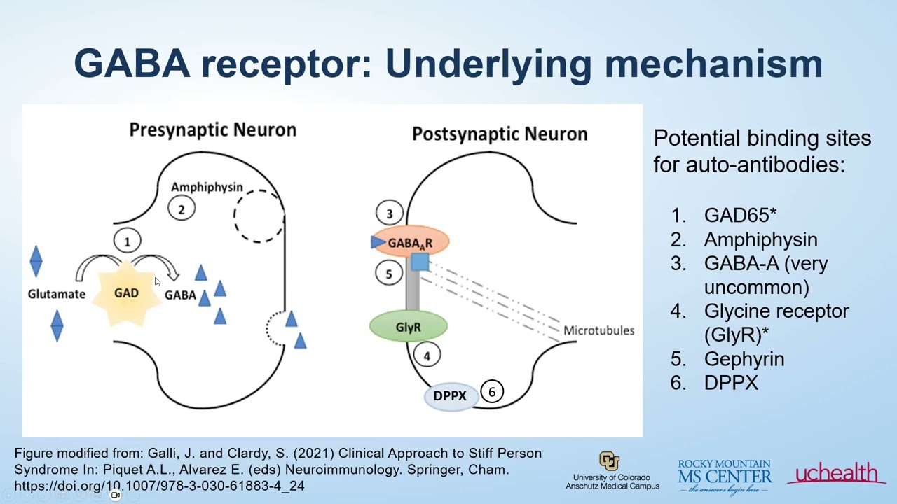 Webinar: Stiff Person Syndrome with Dr. Amanda Piquet