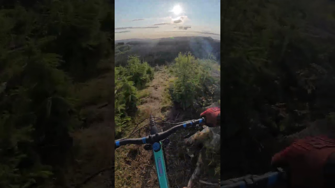 Ae Forest Naturals Enduro Rolling Stone 4k