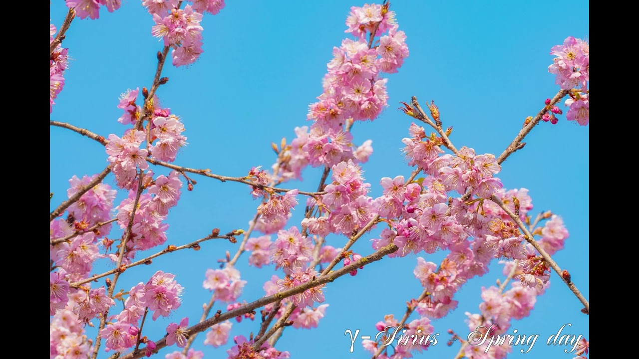 γ-Sirius - Spring Day