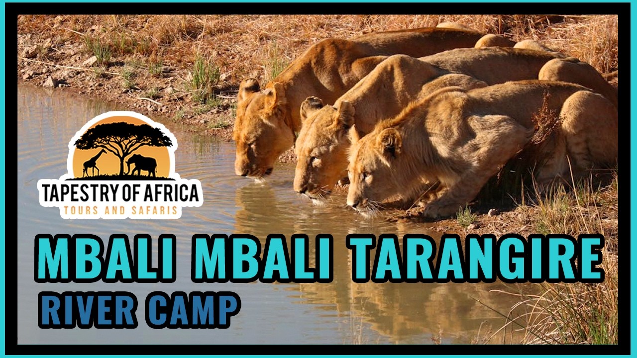 What can you see at Mbali Mbali Tarangire River Camp?