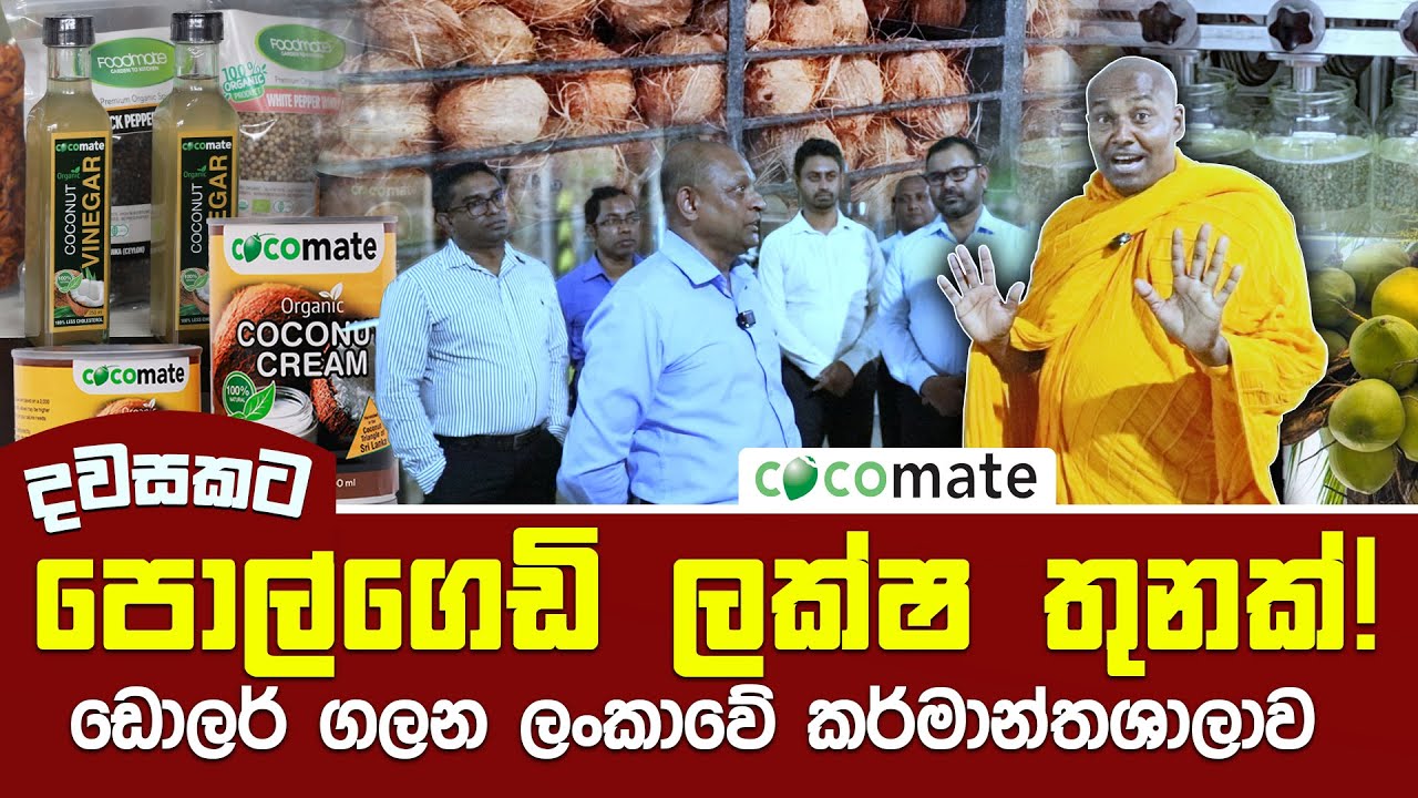 දවසකට පොල්ගෙඩි ලක්‍ෂ තුනක්! - ඩොලර් ගලන ලංකාවේ කර්මාන්තශාලාව #umandawa