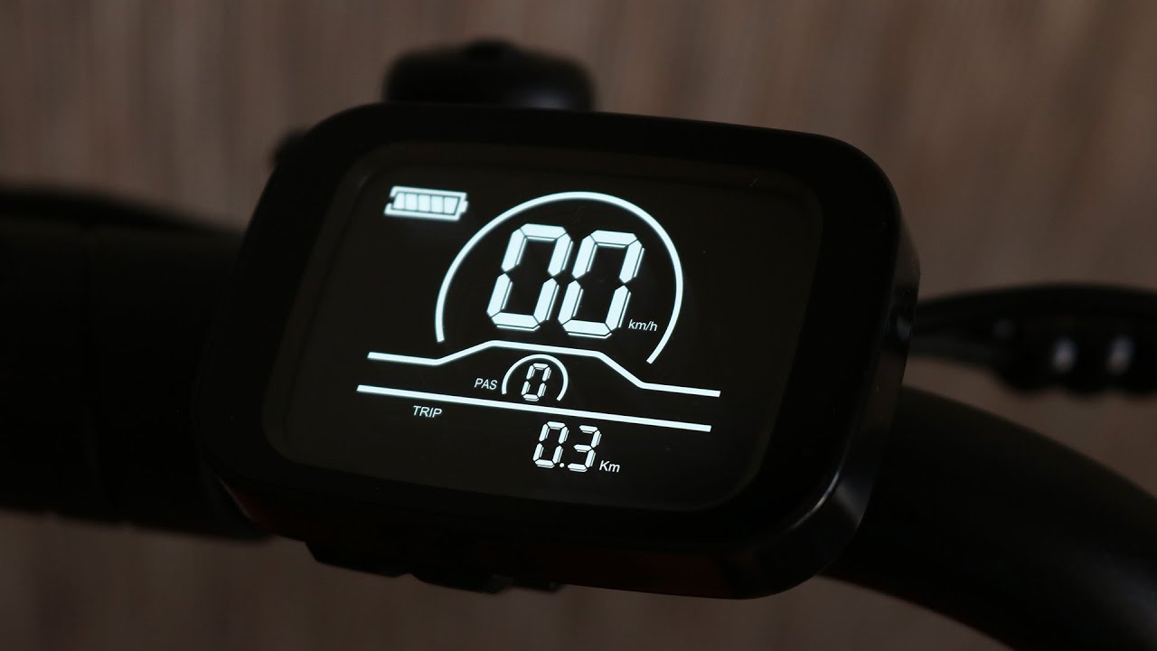 Engwe L20 - Display, Settings & Functions