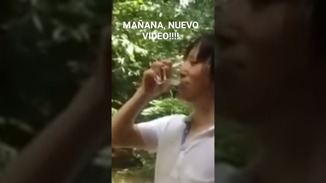 ICEBERG DE ANIME, PRÓXIMAMENTE.