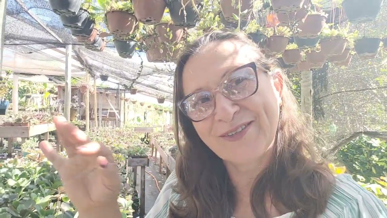 CONVITE: 5 SUCULENTAS QUE COMECEI MEU CULTIVO