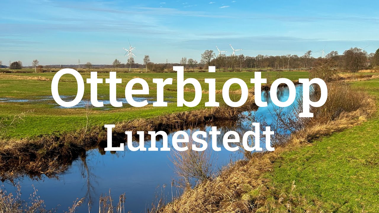 Otterbiotop Beverstedt Lunestedt - Nature Walk - Januar 2024 - 60 FPS