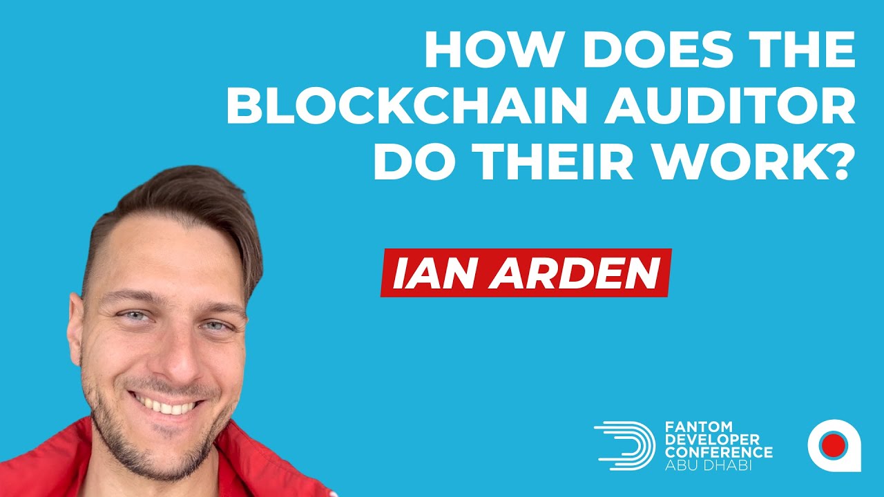 How does the blockchain auditor do their work?