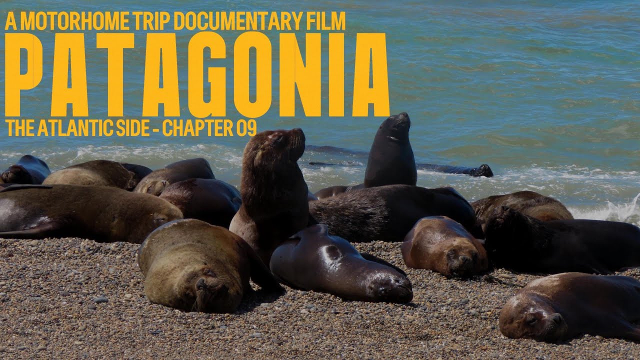 Patagonia Argentina Documentary em #motorhome na Patagonia - Capítulo 09 - PATAGONIA ATLÂNTICA