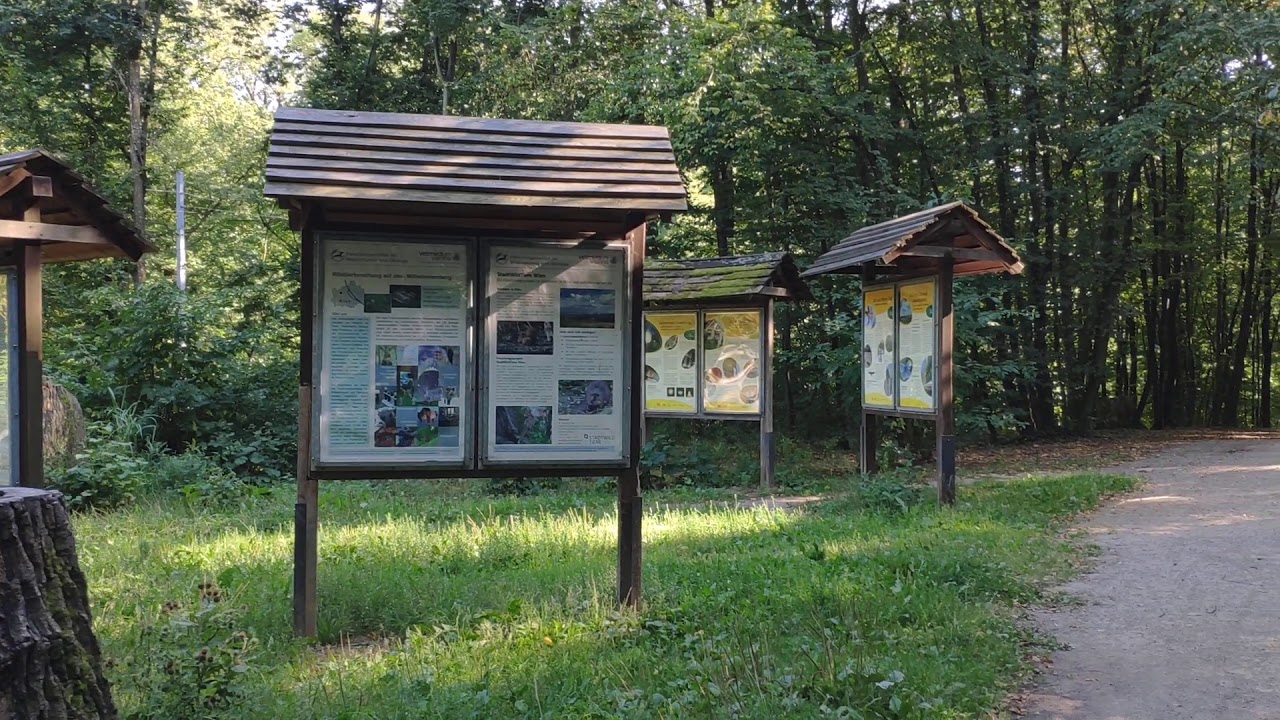 Vienna Walking - Hiking on Wilhelminenberg