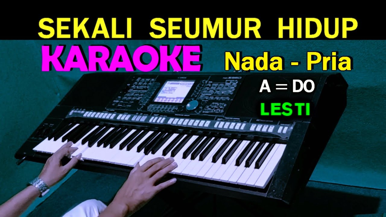 SEKALI SEUMUR HIDUP - Lesti | KARAOKE Nada Pria