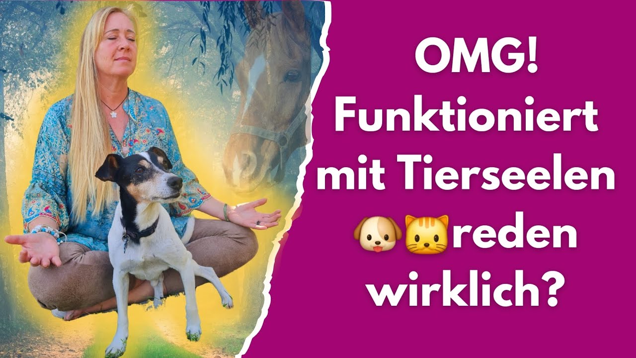 Hokuspokus, Zauberei oder&hellip;? Mit Tierseelen reden - geht das?